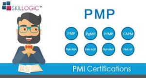 PMI SP Certification